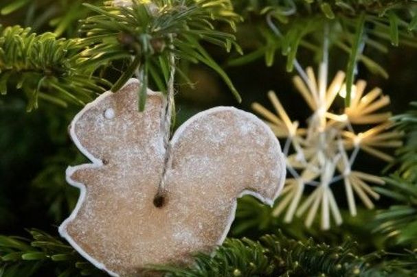 Frohe Weihnachten und alles Gute für das Neue Jahr 2026!