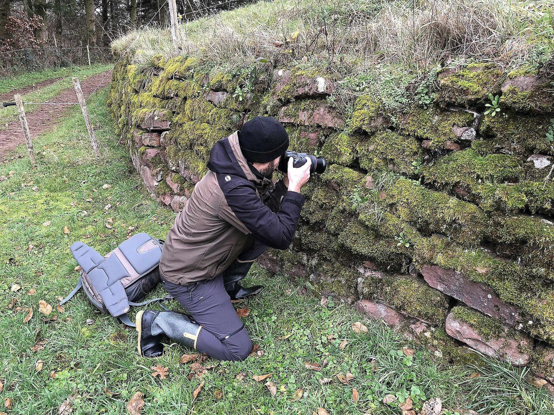 Gut versteckt im Winter Naturschützer suchen Quartiere von