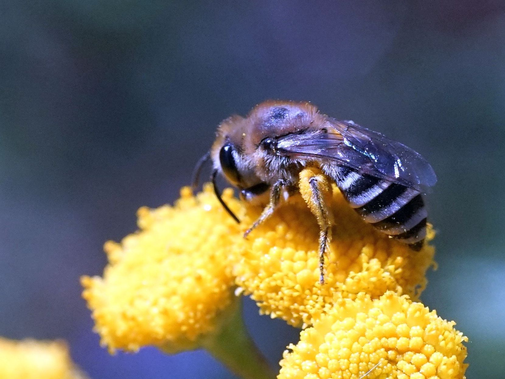 Foto: Burkhard Häfner 